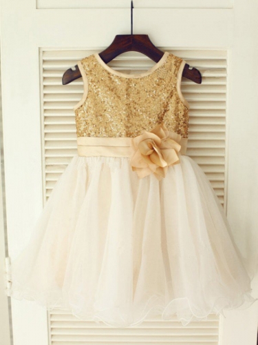 A-line/Princess Scoop Sleeveless Sequin Long Organza Dresses