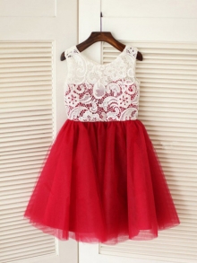 A-line/Princess Scoop Sleeveless Lace Long Tulle Dresses