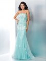 Trumpet/Mermaid Strapless Applique Sleeveless Long Lace Dresses