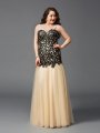 Sheath/Column Spaghetti Straps Applique Sleeveless Long Net Plus Size Dresses