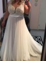 A-Line/Princess Straps Sleeveless Applique Sweep/Brush Train Tulle Plus Size Dresses