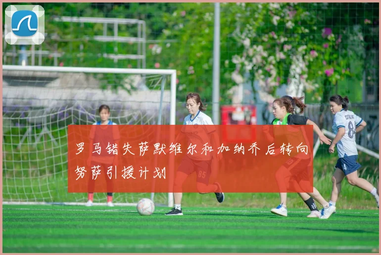 罗马错失萨默维尔和加纳乔后转向努萨引援计划