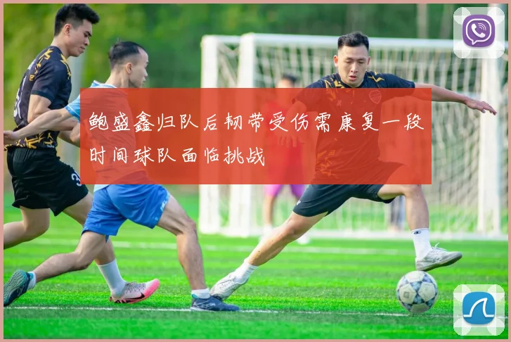 鲍盛鑫归队后韧带受伤需康复一段时间球队面临挑战